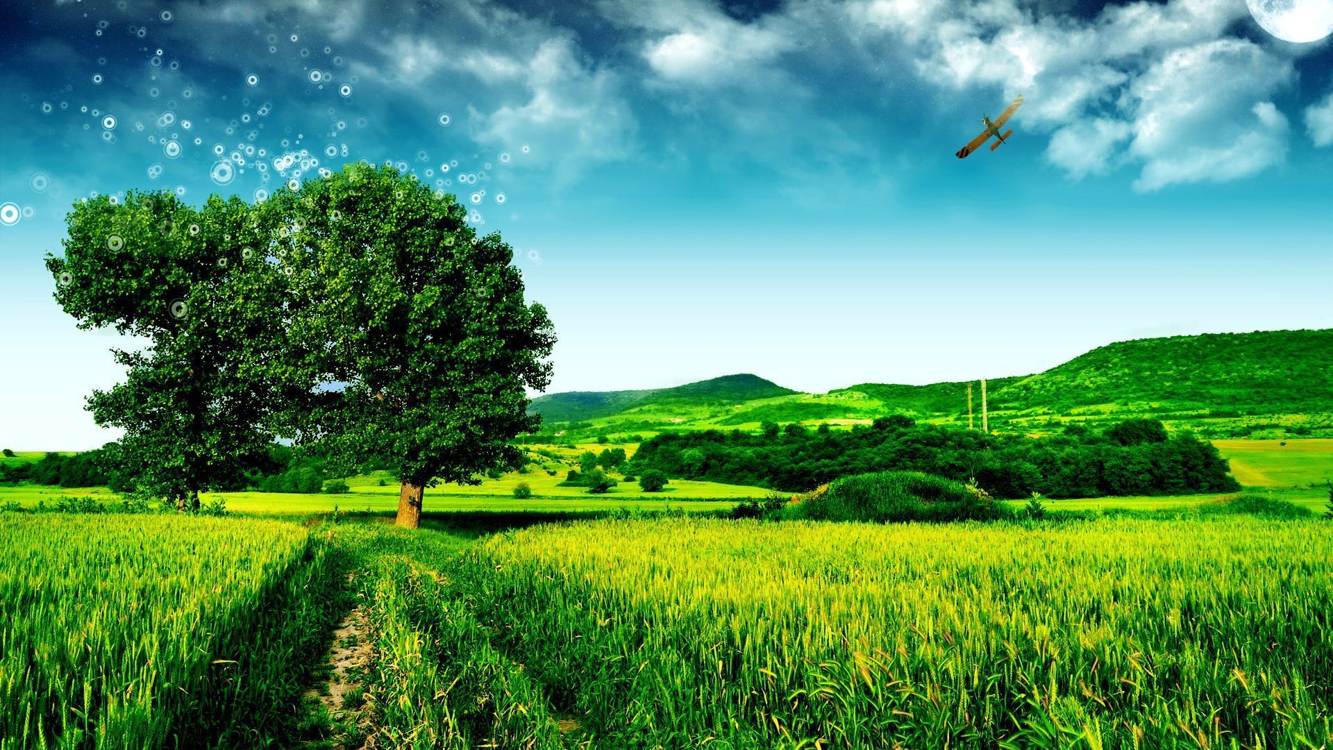 Paisagem 1